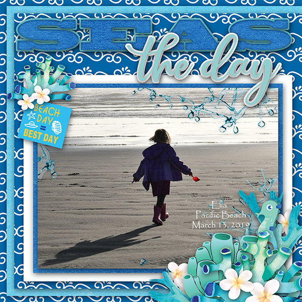 A Beach Day