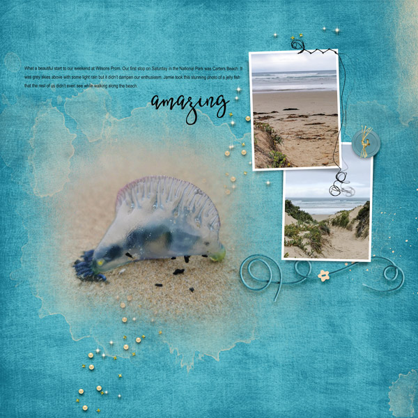 A beach walk