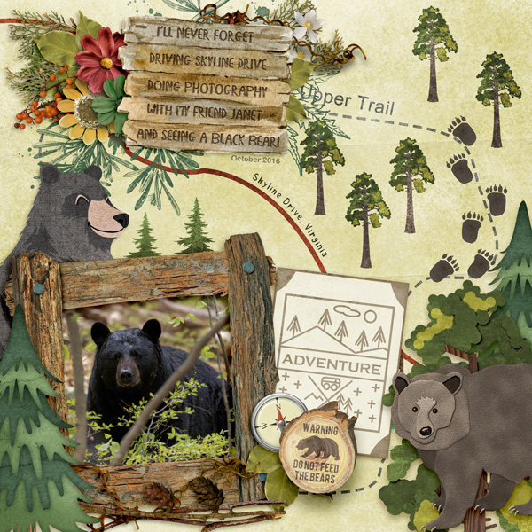 A BEARy Great Day!