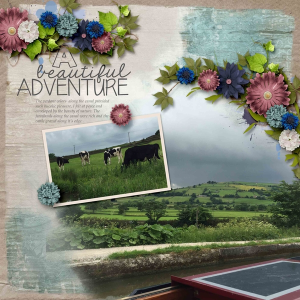 A Beautiful Adventure