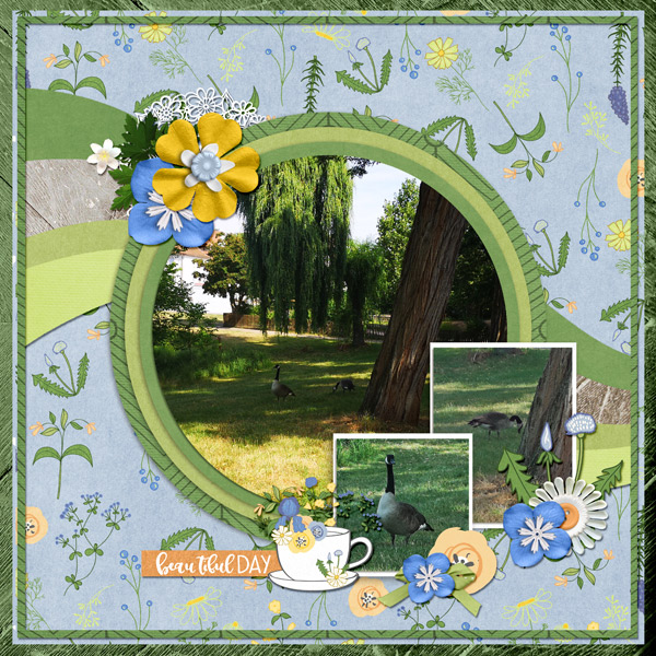 a beautiful day