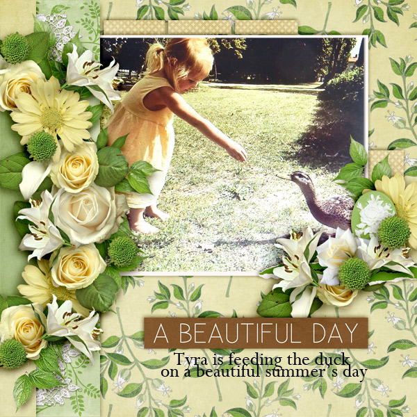 A-beautiful-day1