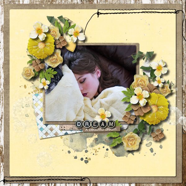 A Beautiful Dream