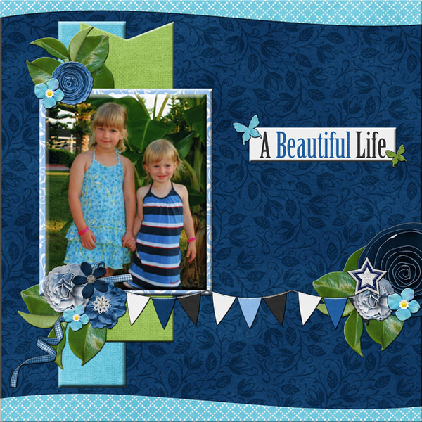 a beautiful life