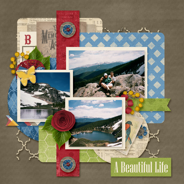 A Beautiful Life