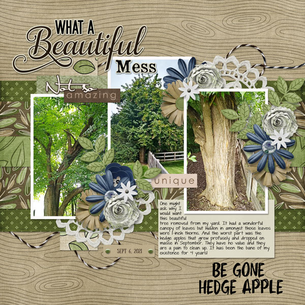 A Beautiful Mess
