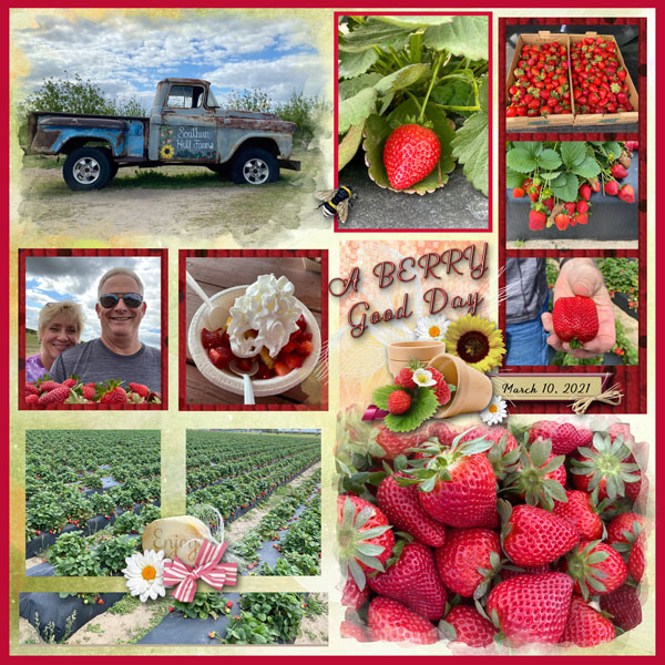 A Berry Good Day