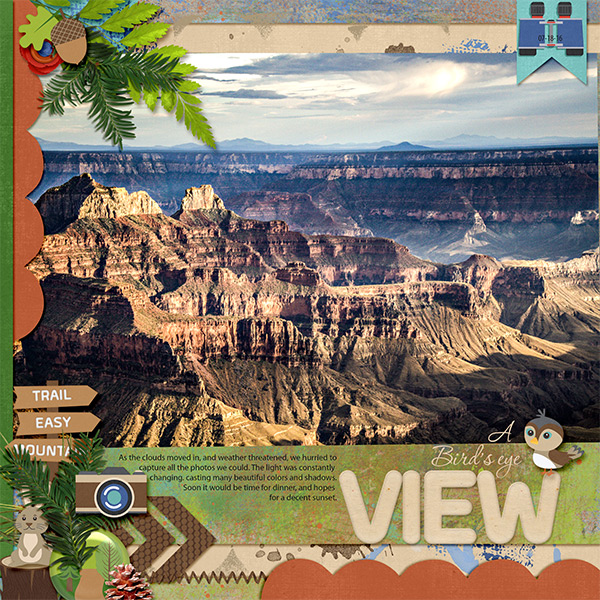 A Birds Eye View Grand Canyon North Rim