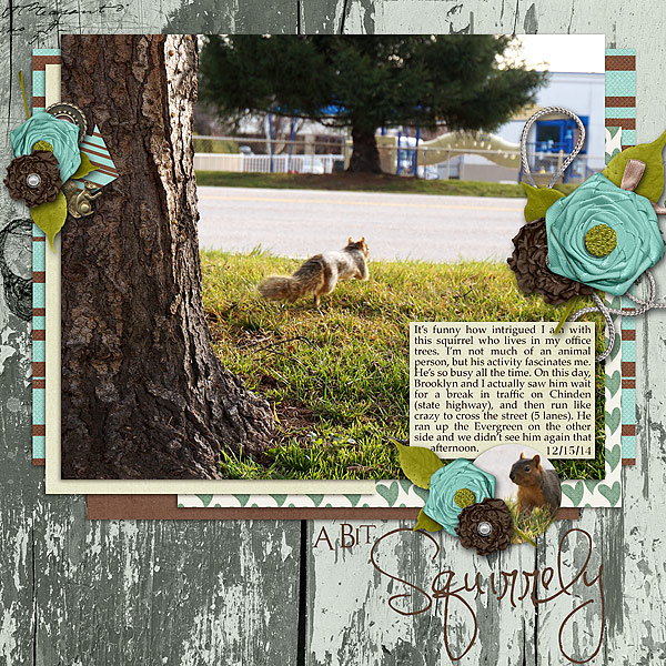 A Bit Squirrely