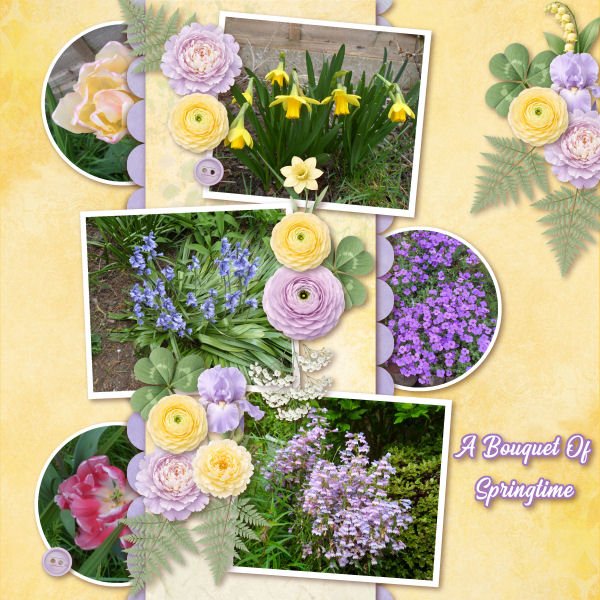 A Bouquet Of Springtime