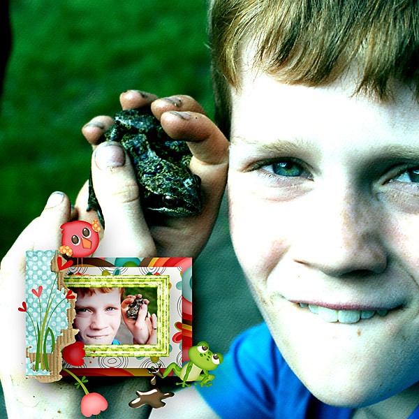 A Boy and a Frog