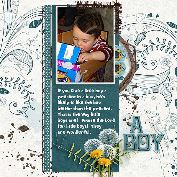 A Boy