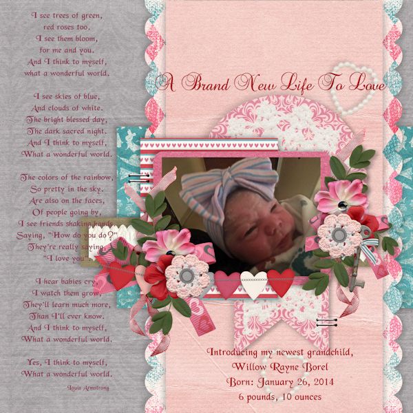 A Brand New Life To Love