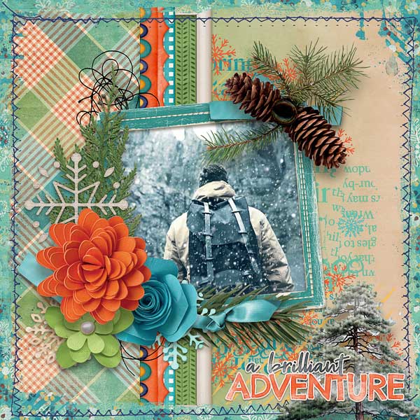 A Brilliant Adventure
