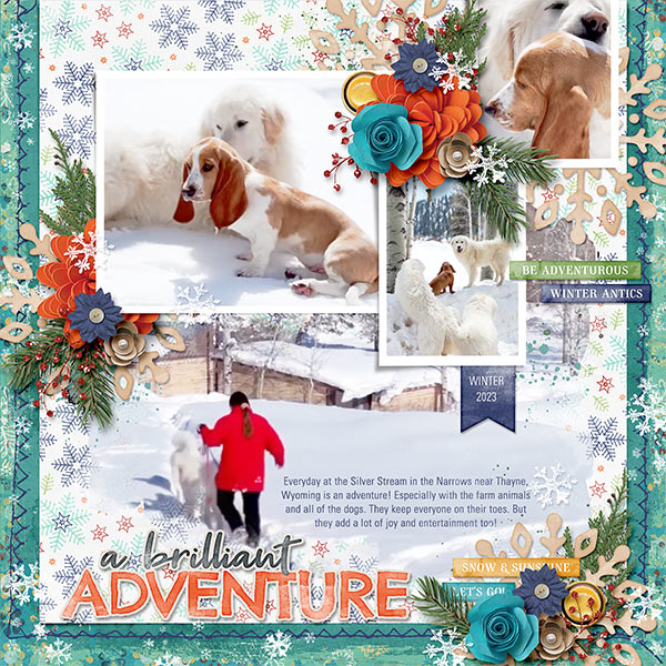 A BRILLIANT ADVENTURE