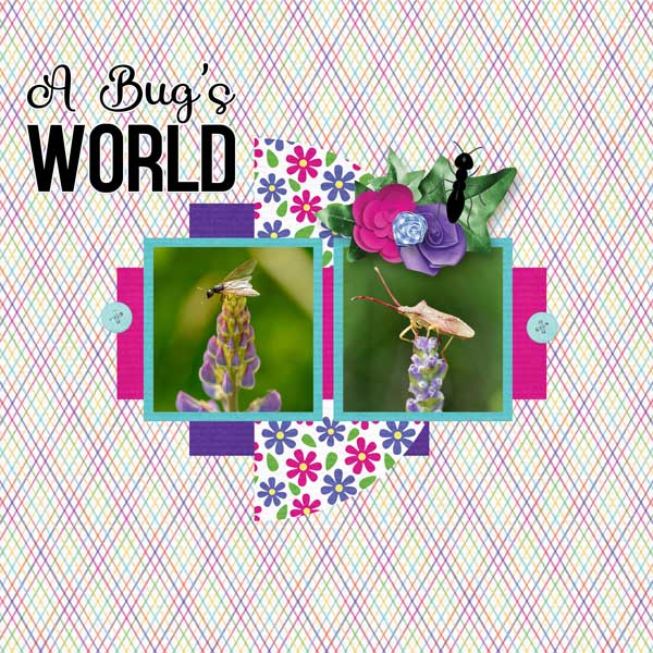 A-Bug_s-World-by-Memory-Mos
