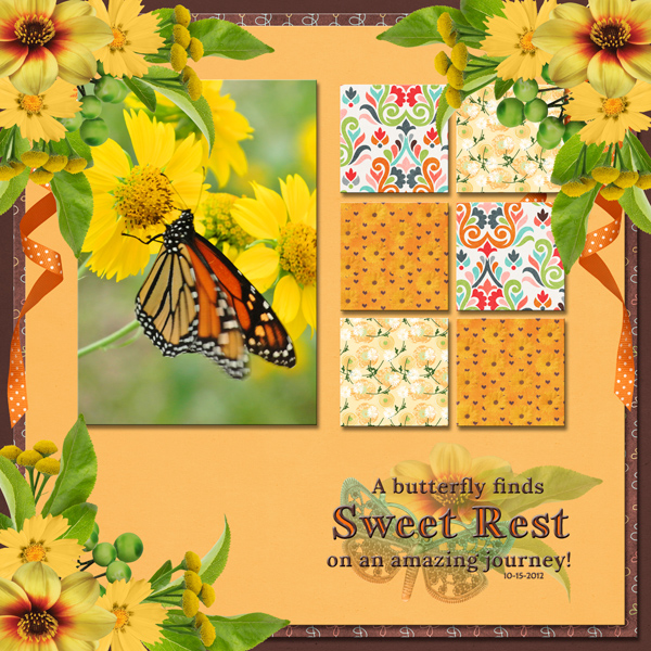 A butterfly finds Sweet Rest on an amazing journey!