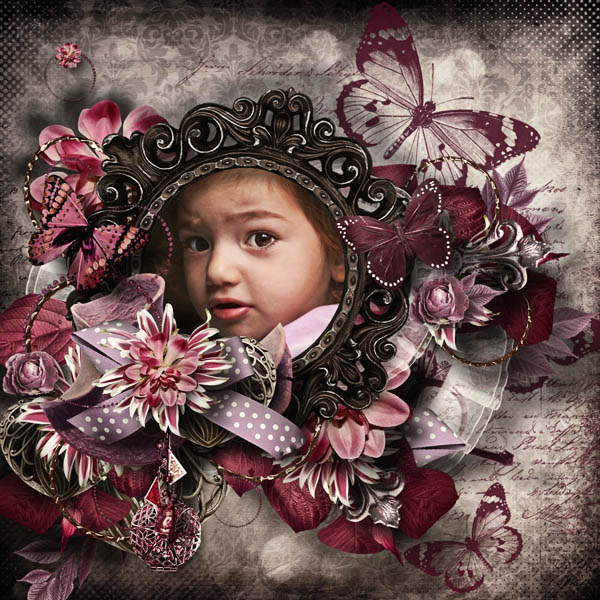 A butterfly