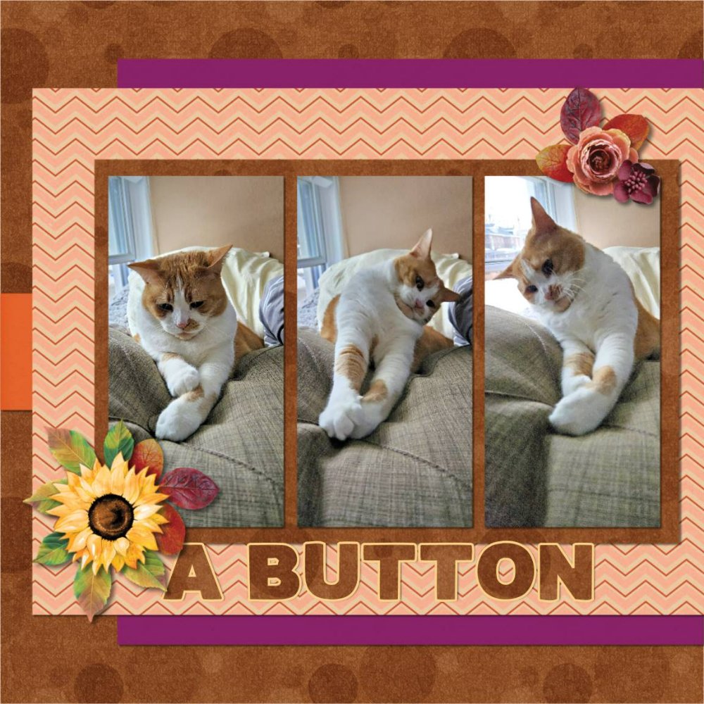 A Button