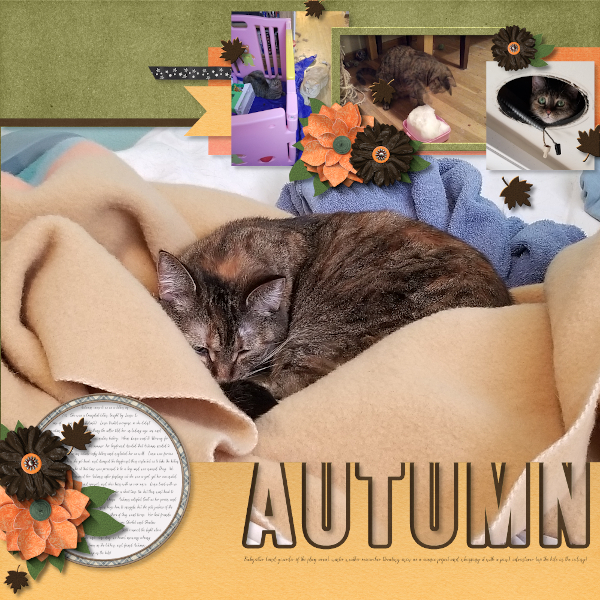 A Cat Named Autumn