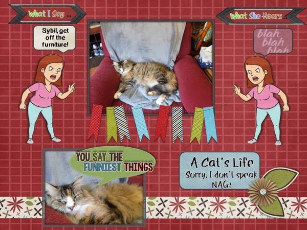 A Cat
