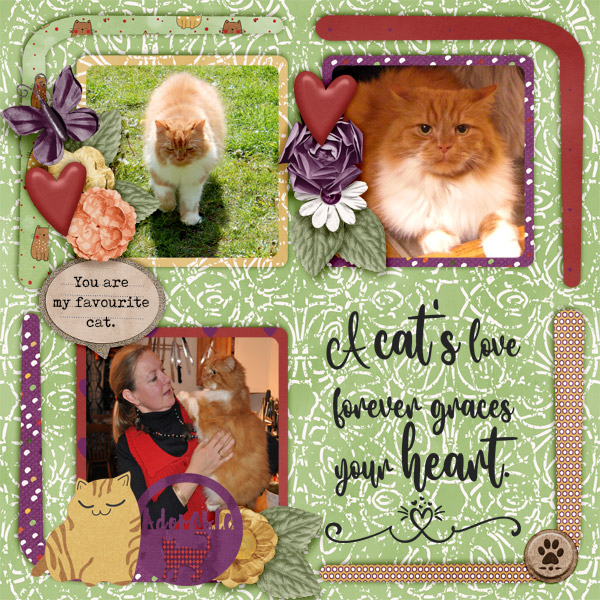 A-cat_s-love