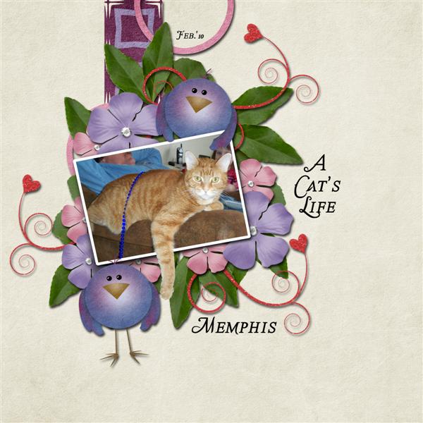 A Cat's Life