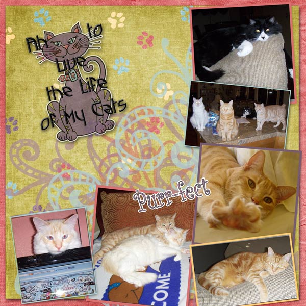 A Cat's Life