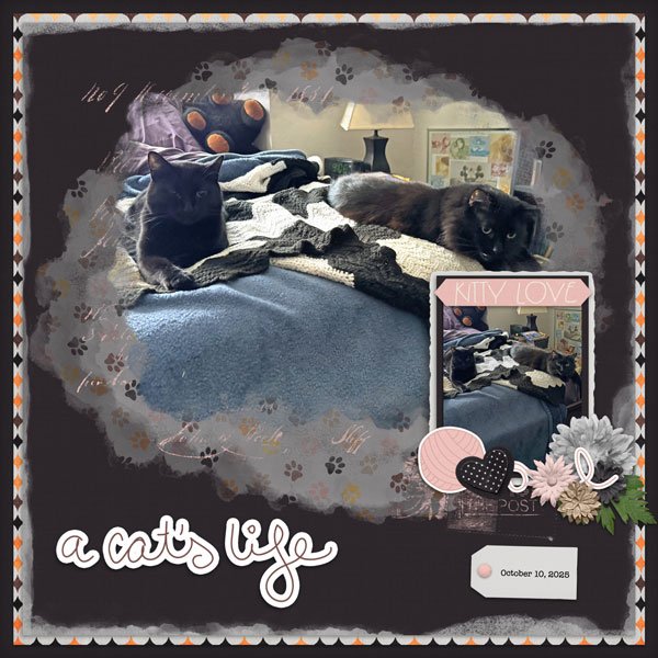 A Cat's Life