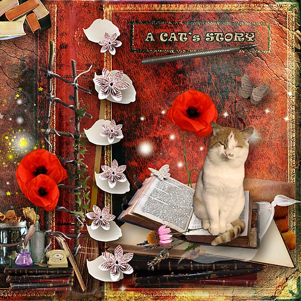 A Cat's Story