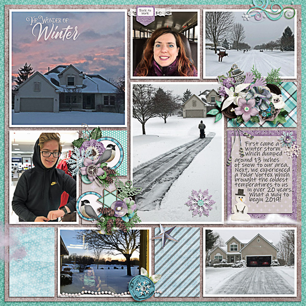 A Cold and Snowy January of 2019