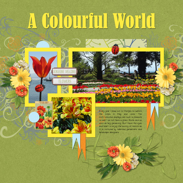 A Colourful World