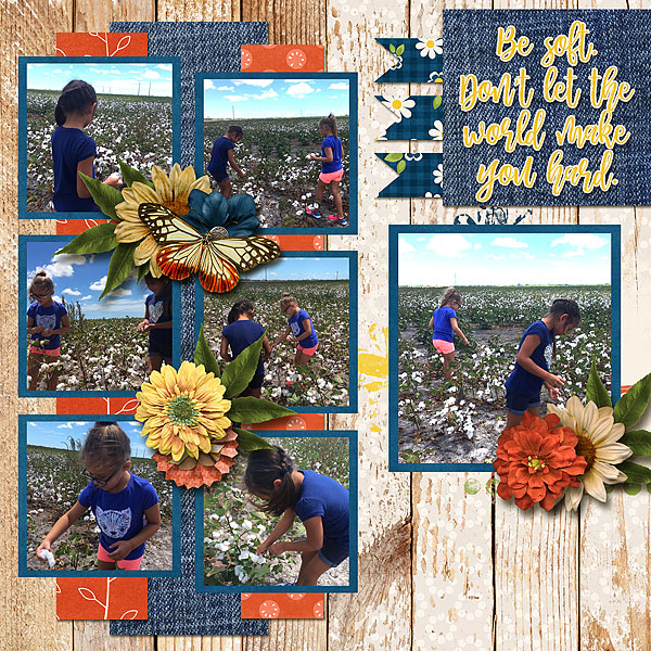 A Cotton Picking Good Time