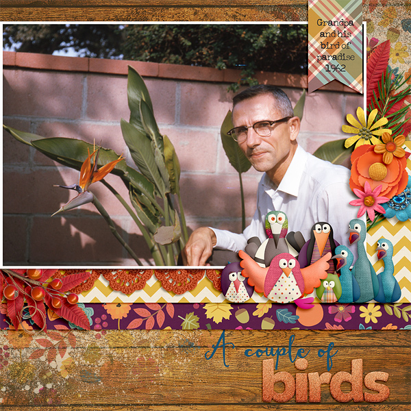 A Couple of Birds