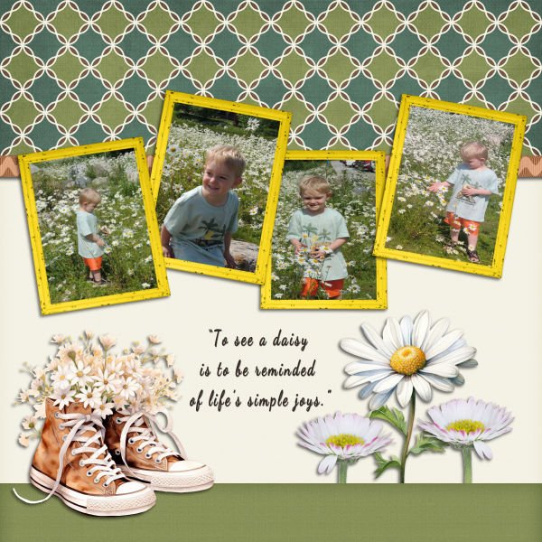 a daisy simple joy