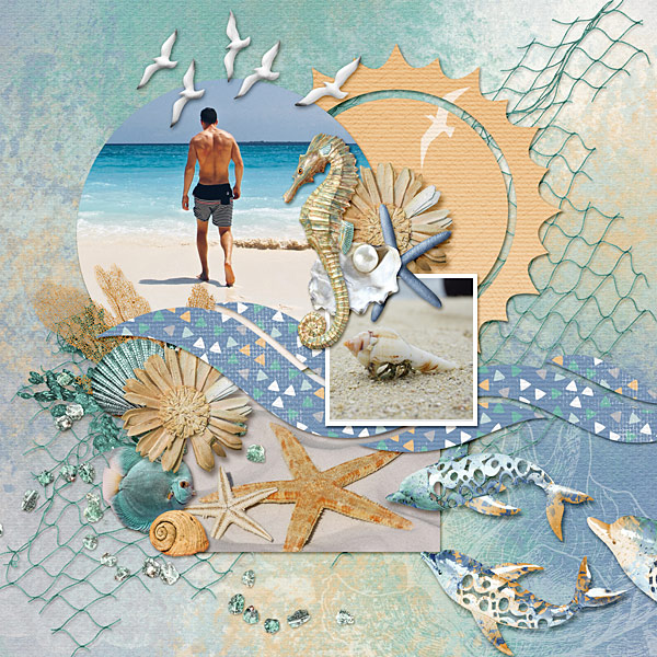 A Day at the Beach