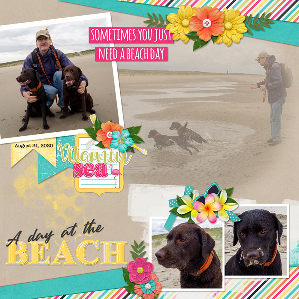 A day at the beach