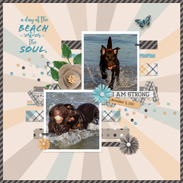 A Day at the Beach