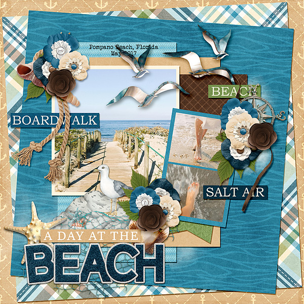 A Day at the Beach