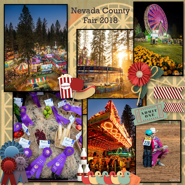 A Day at the Fair!