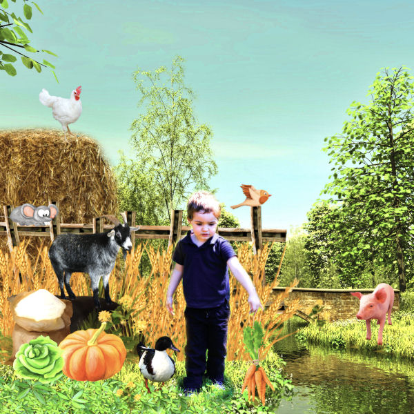a day at the farm