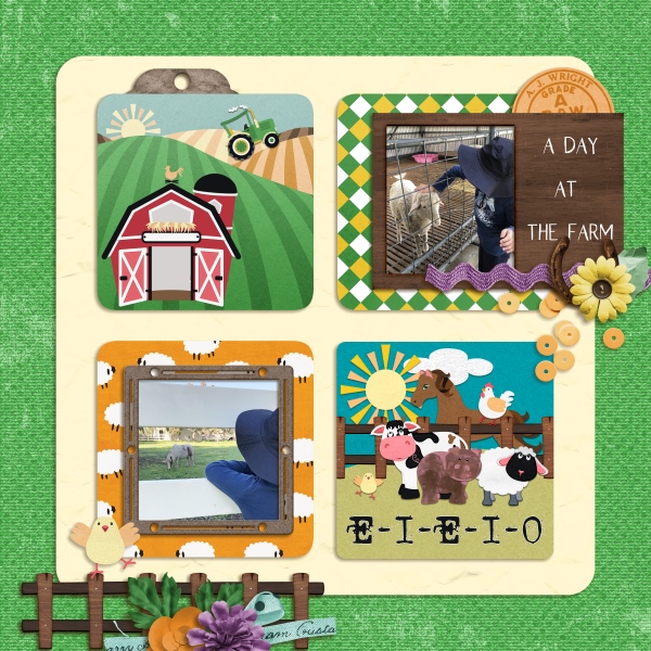 A day at the farm