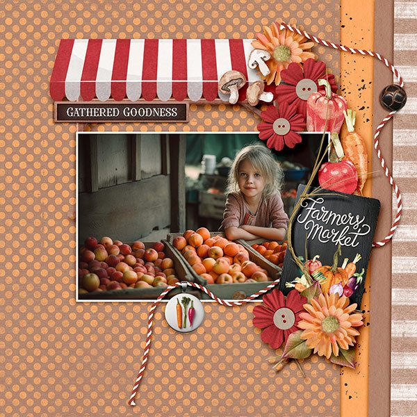 A Day at the Market