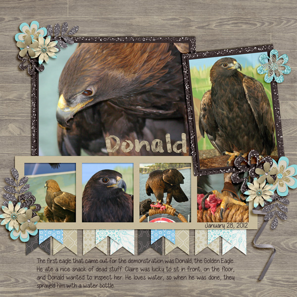 A Day at the National Eagle Center