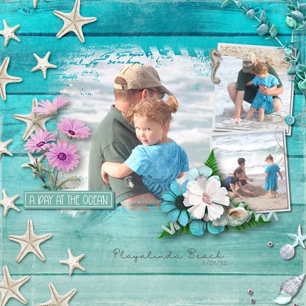 A Day at the Ocean