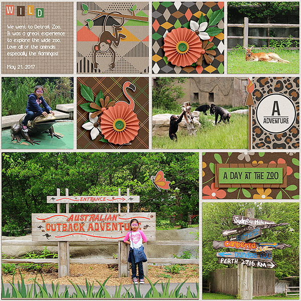 A Day At The Zoo