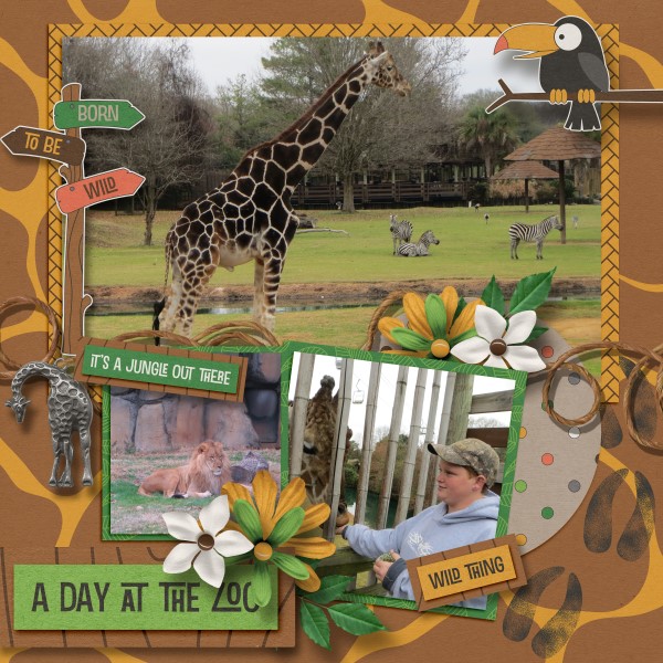 A Day at the Zoo
