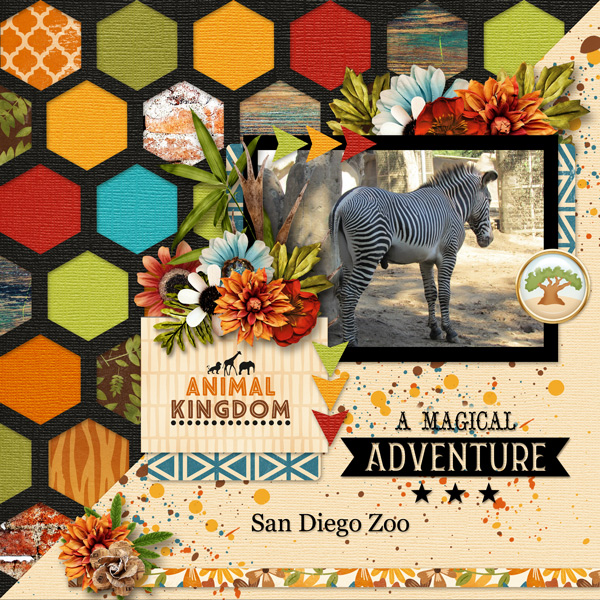 A day at the zoo
