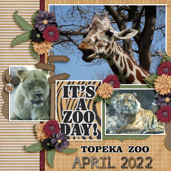A Day At The Zoo