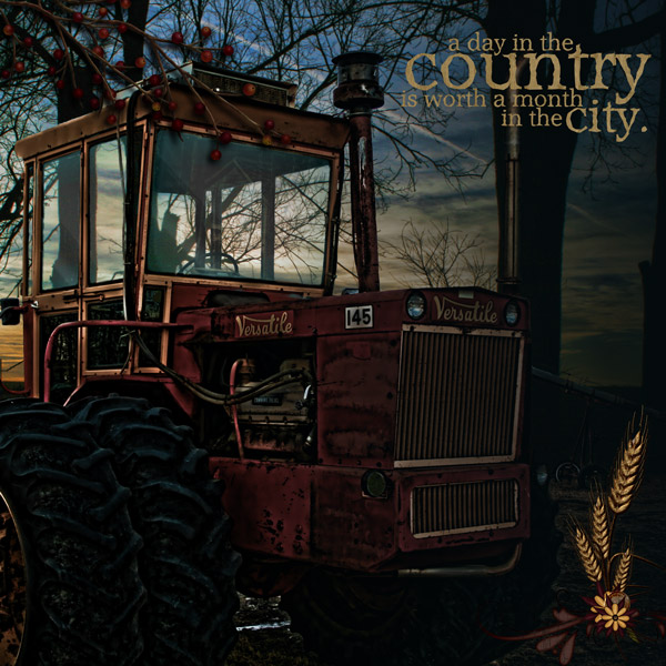 A Day in the Country